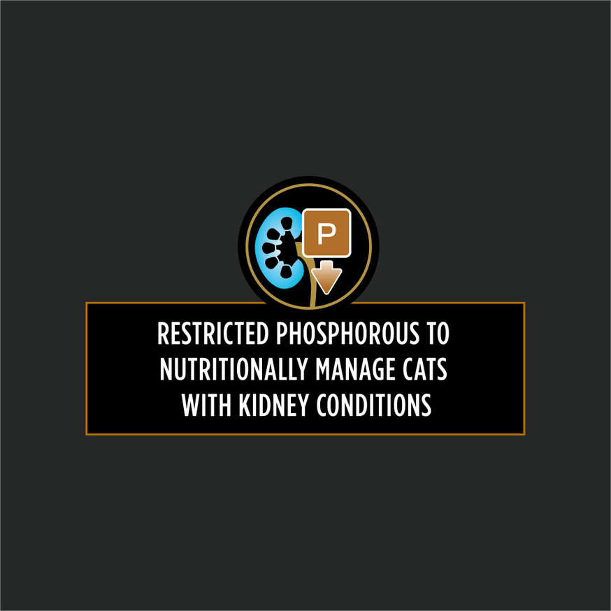 Veterinary Diets® NF Kidney Function® Advanced Care™, Wet Cat Food Formula
