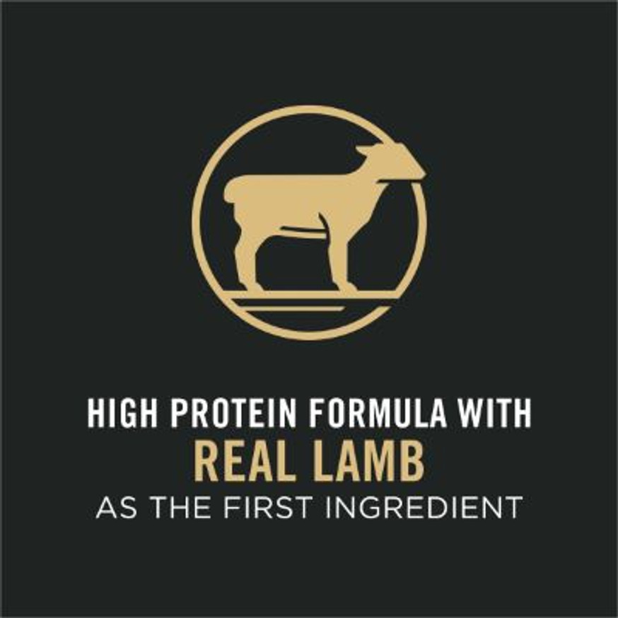 Sport Small Bites 27/17 Lamb & Rice Formula, Dry Dog Food