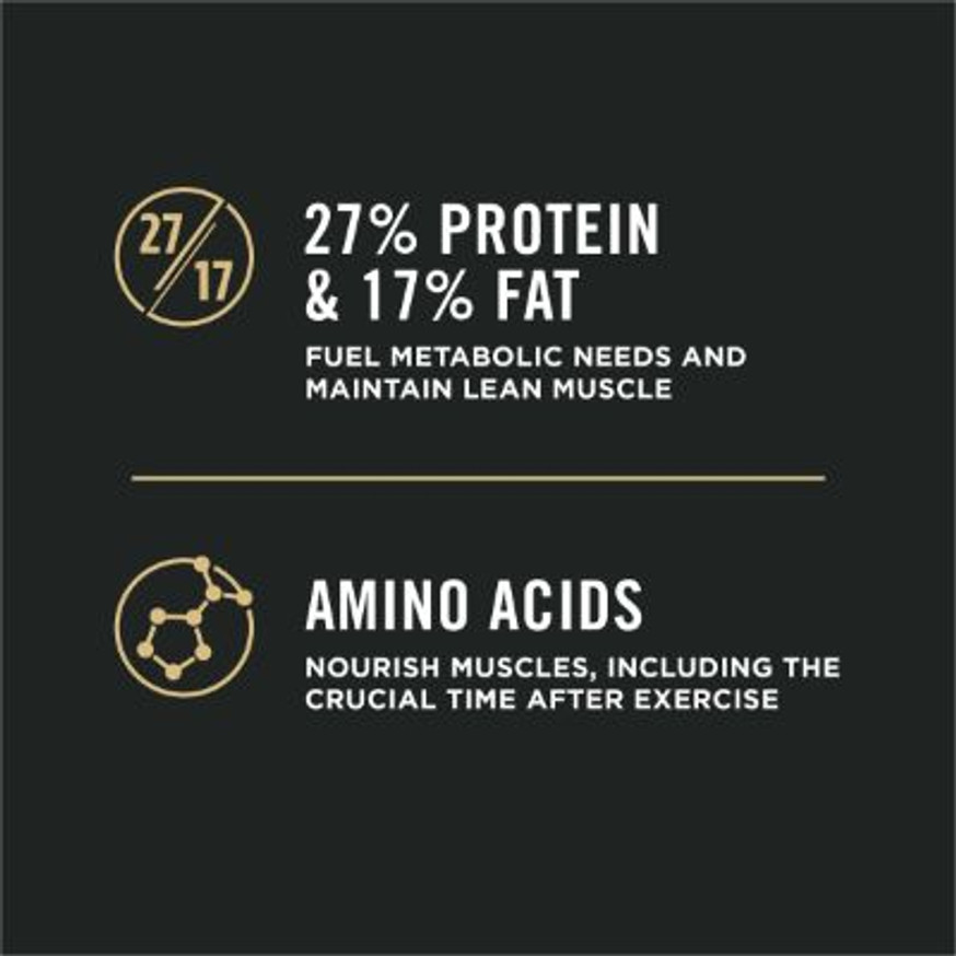 Sport Small Bites 27/17 Lamb & Rice Formula, Dry Dog Food