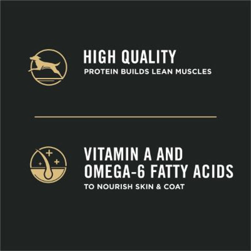 Development Chicken & Rice Formula, Dry Puppy Food