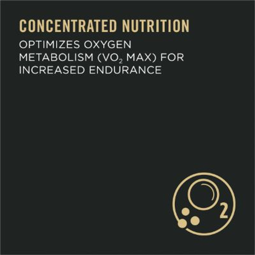 Sport Performance 30/20 Chicken & Rice Formula Dry Dog Food