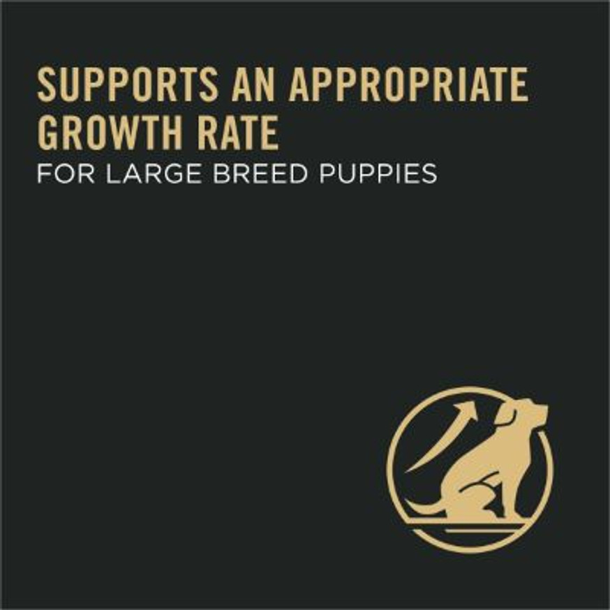 Development Large Breed Chicken & Rice Formula Dry Puppy Food