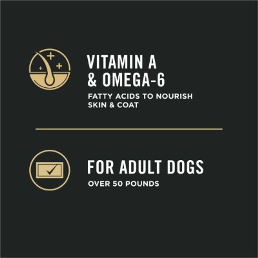 Specialized Large Breed Chicken & Rice Formula Dry Dog Food