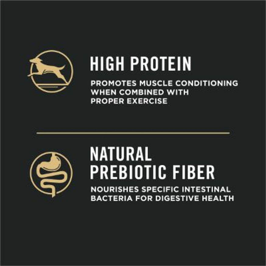 Specialized Large Breed Chicken & Rice Formula Dry Dog Food