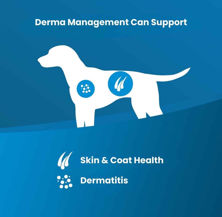 VetLife Derma Management Adult Canine Mini Treat - Sweet Potato and Fish