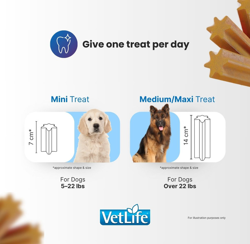 VetLife Derma Management Adult Canine Mini Treat - Sweet Potato and Fish