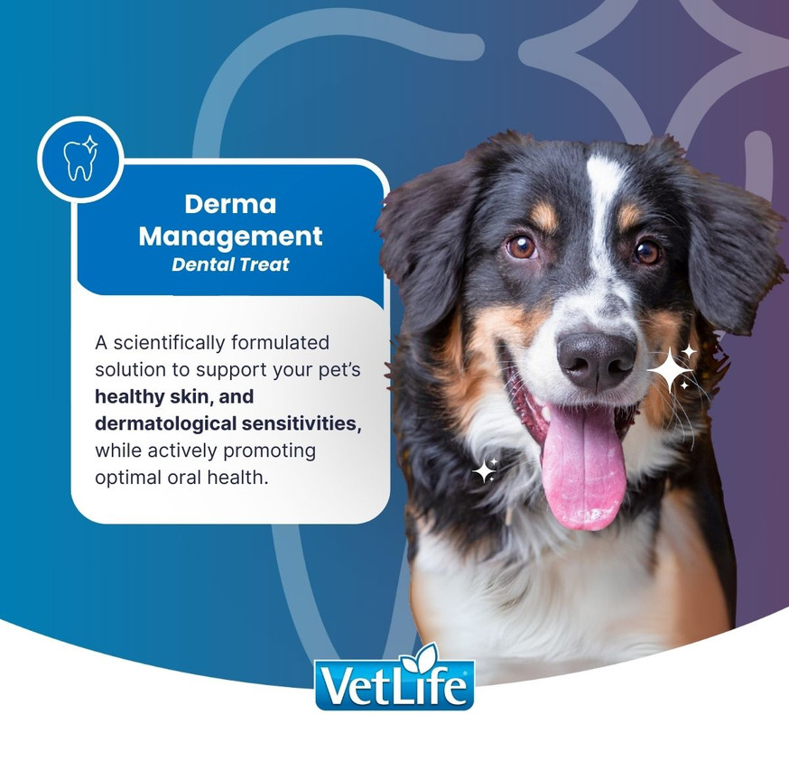 VetLife Derma Management Adult Canine Mini Treat - Sweet Potato and Fish