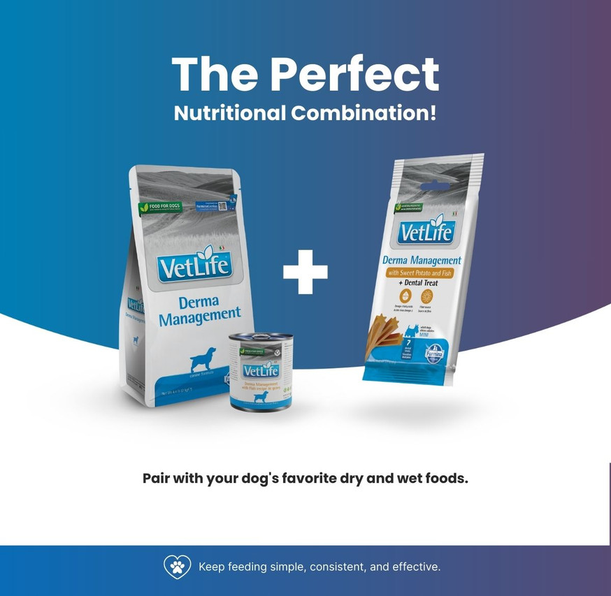 VetLife Derma Management Adult Canine Mini Treat - Sweet Potato and Fish