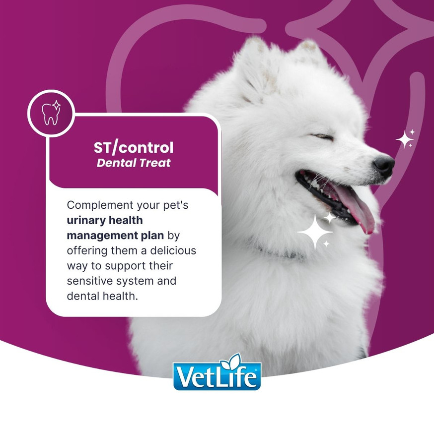 VetLife Urinary St Control Adult Canine Medium & Maxi Treat