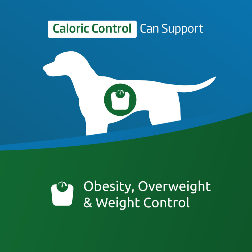 VetLife Caloric Control Canine Dry Dog Food