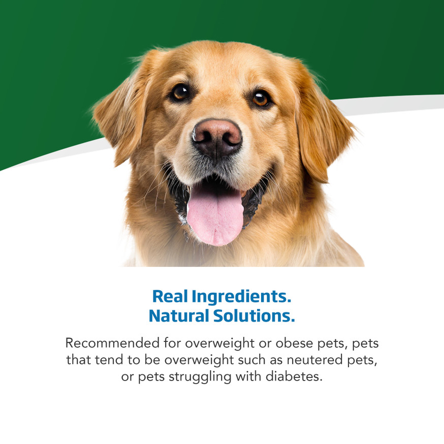 VetLife Caloric Control Canine Dry Dog Food