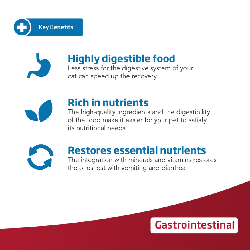 VetLife Gastrointestinal Feline Dry Cat Food