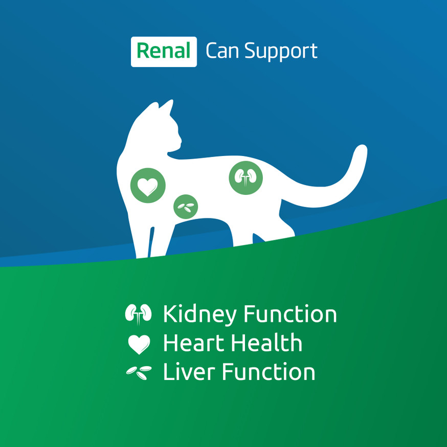 VetLife Renal Feline Dry Cat Food