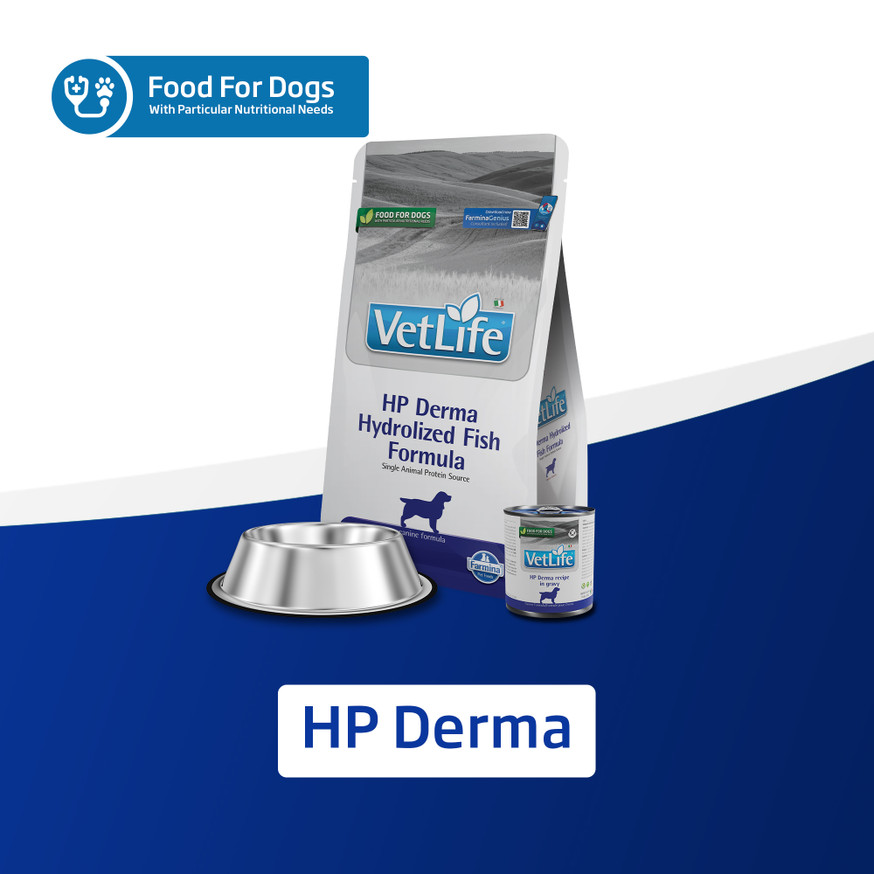 VetLife Adult HP Derma  with Pork in Gravy Canine Wet Food