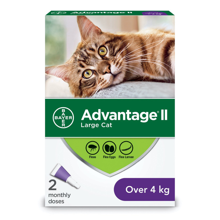Advantage®II for Large Cats - 2 /pack