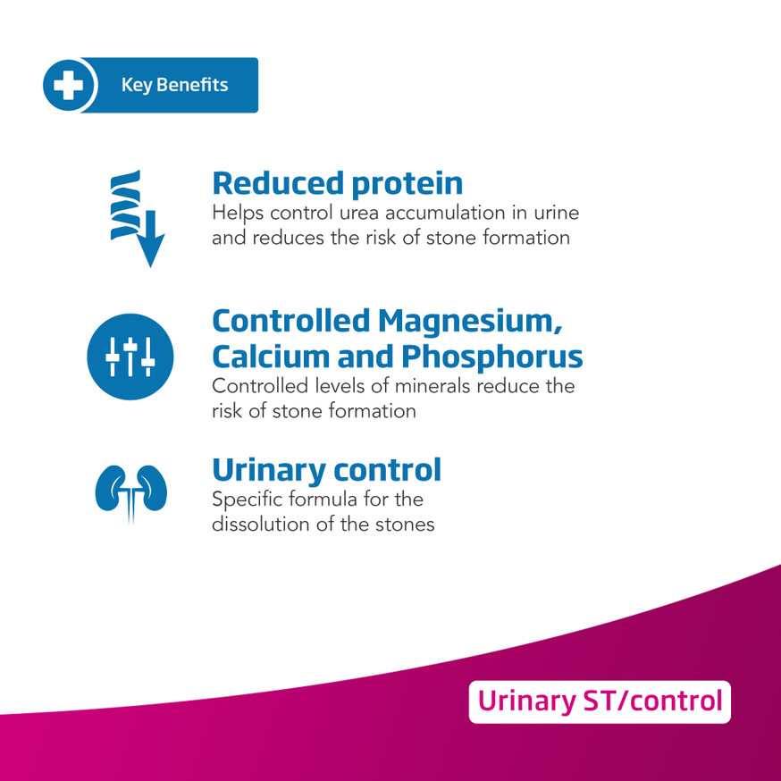 VetLife Adult Urinary ST Control Feline Wet Food