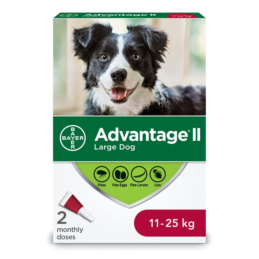 Advantage®II for Dogs (2 tubes/pack) - Large dog (11 - 25kg)
