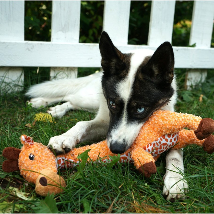 Shakers Luvs Dog Toy - Giraffe