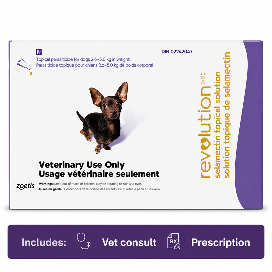 Revolution Dog Purple 2.6-5.0kg - 6 Doses