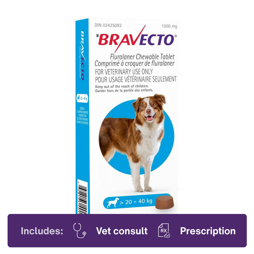 Bravecto Chew 20.1-40.0kg Blue