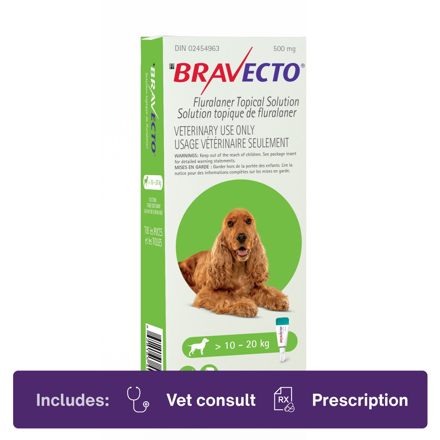 Bravecto Topical for Dogs 10.1-20.0kg Green