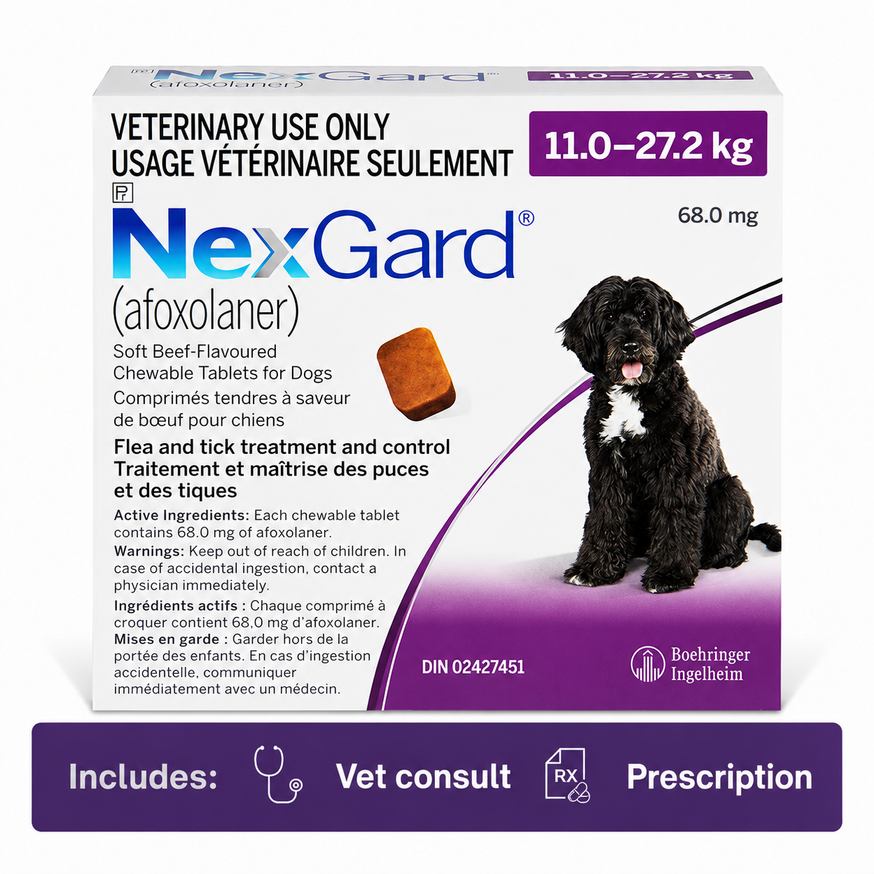 NexGard Soft Chewable Tablets for Dogs 11.0-27.2 kg Purple - 12 Chew Tabs