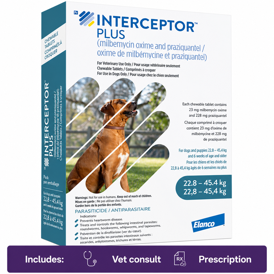 Interceptor Plus Chewable Tablet for Dogs Blue (22.8-45.4 kg)