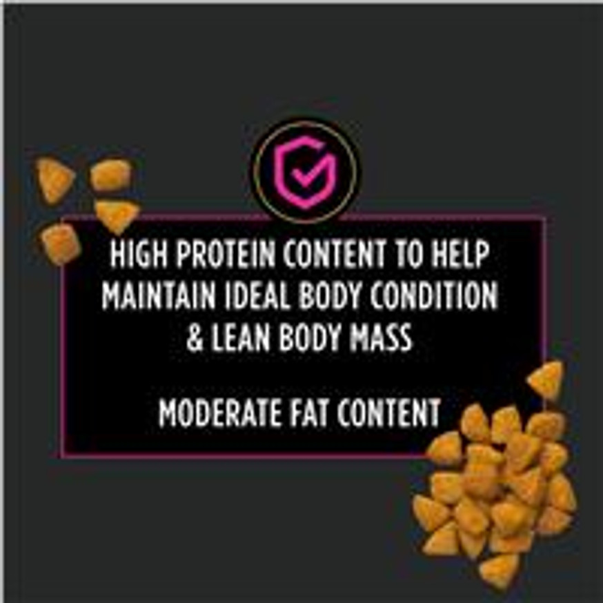 Veterinary Diets® UR® St/Ox Urinary, Dry Cat Food Formula