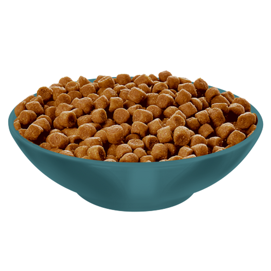 Science Diet Adult Sensitive Stomach & Skin Dry Cat Food, Chicken & Rice Recipe