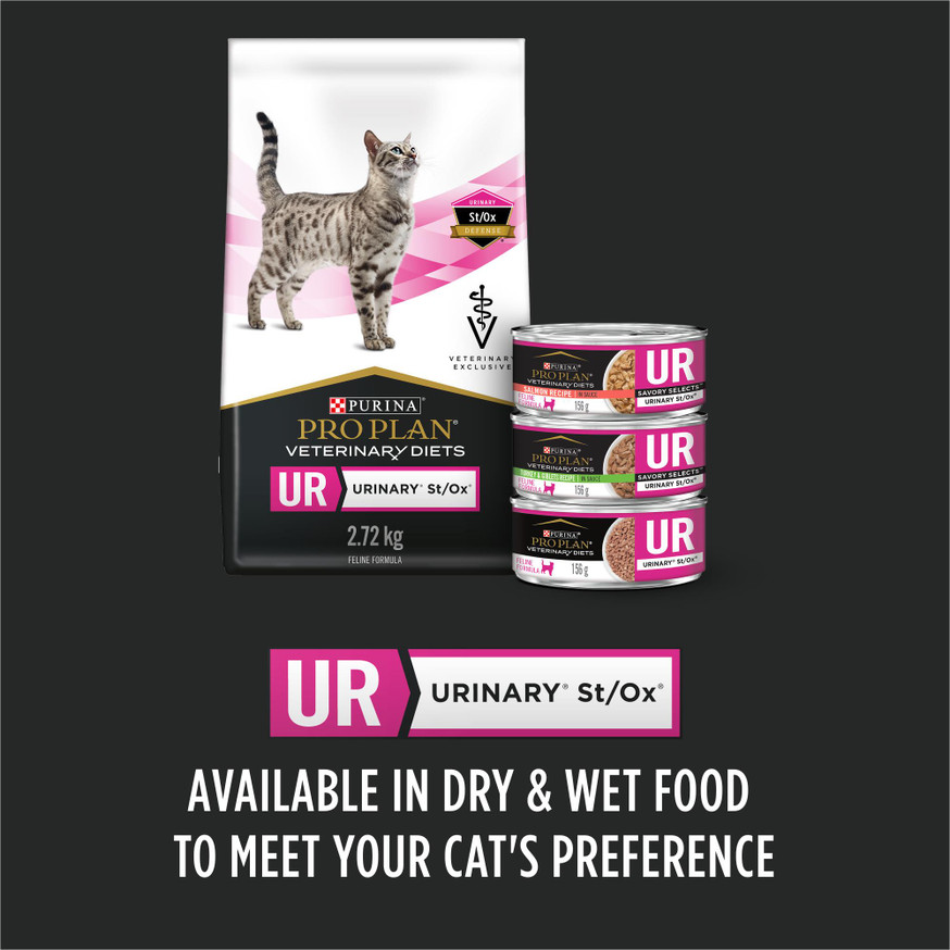 Veterinary Diets® UR® St/Ox, Cat Food Formula