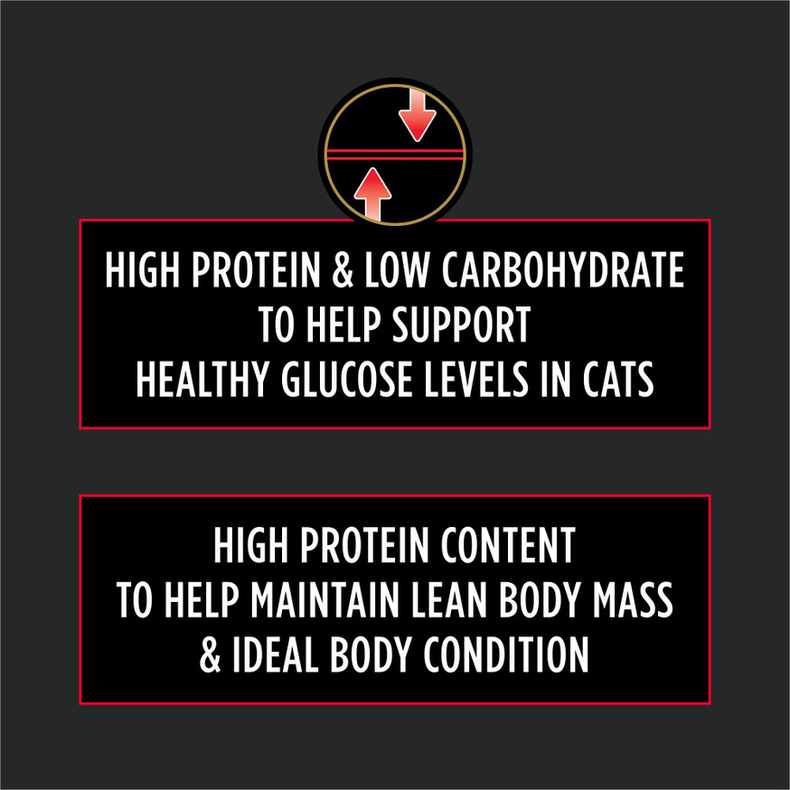 Veterinary Diets® DM Dietetic Management, Dry Cat Food Formula