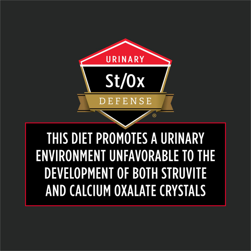 Veterinary Diets® DM Dietetic Management, Dry Cat Food Formula