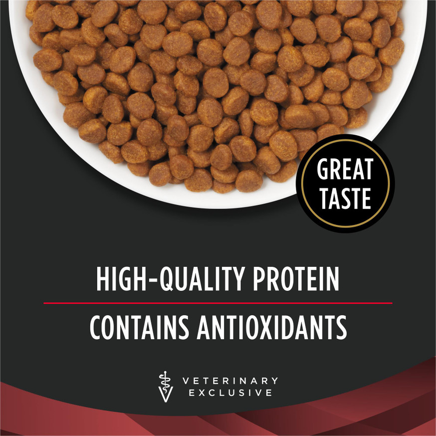 Veterinary Diets® DM Dietetic Management, Dry Cat Food Formula