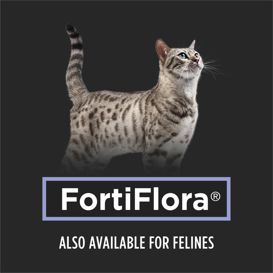 Veterinary Supplements® FortiFlora®, Powdered Probiotic Supplement for Dogs