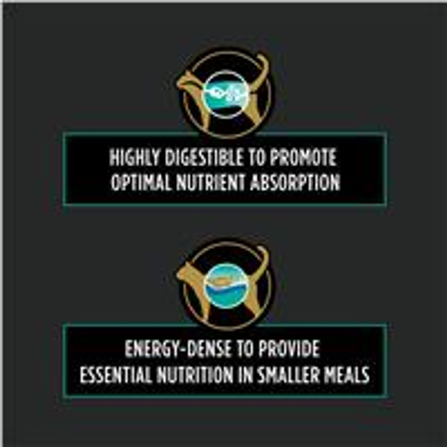 Veterinary Diets® EN Gastroenteric®, Dry Cat Food Formula