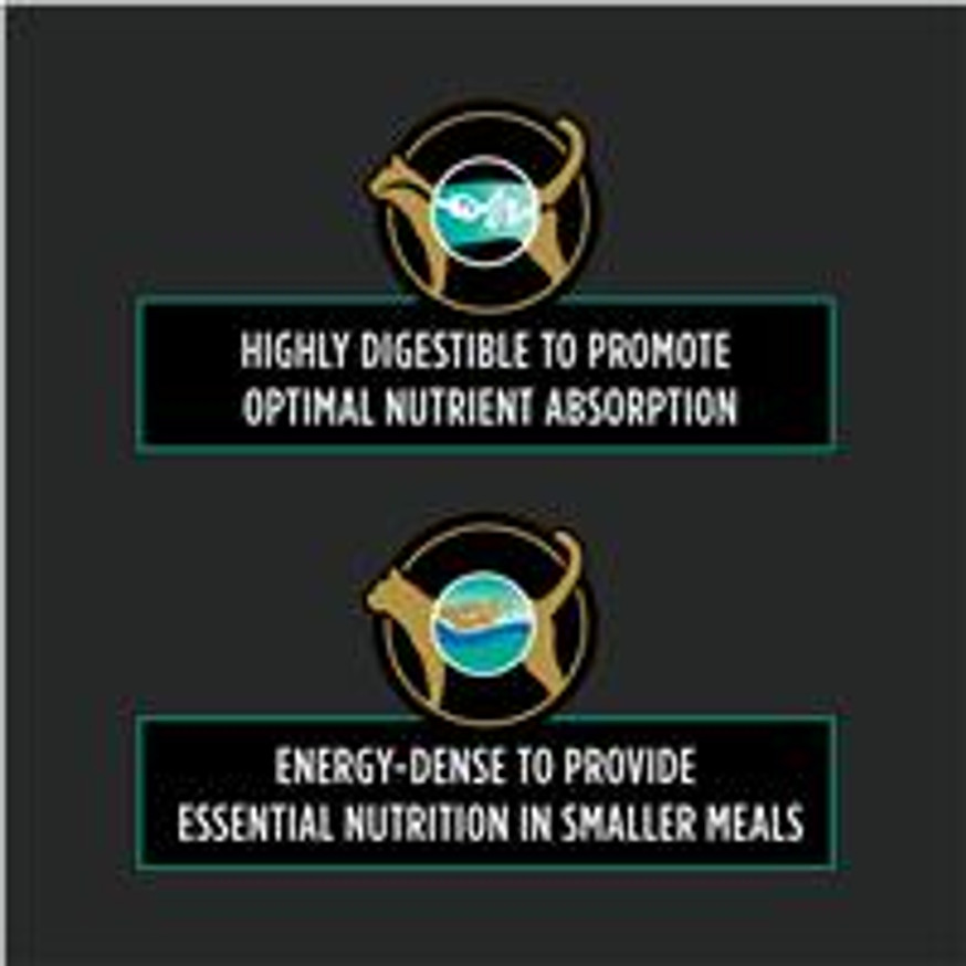 Veterinary Diets® EN Gastroenteric®, Wet Cat Food Formula