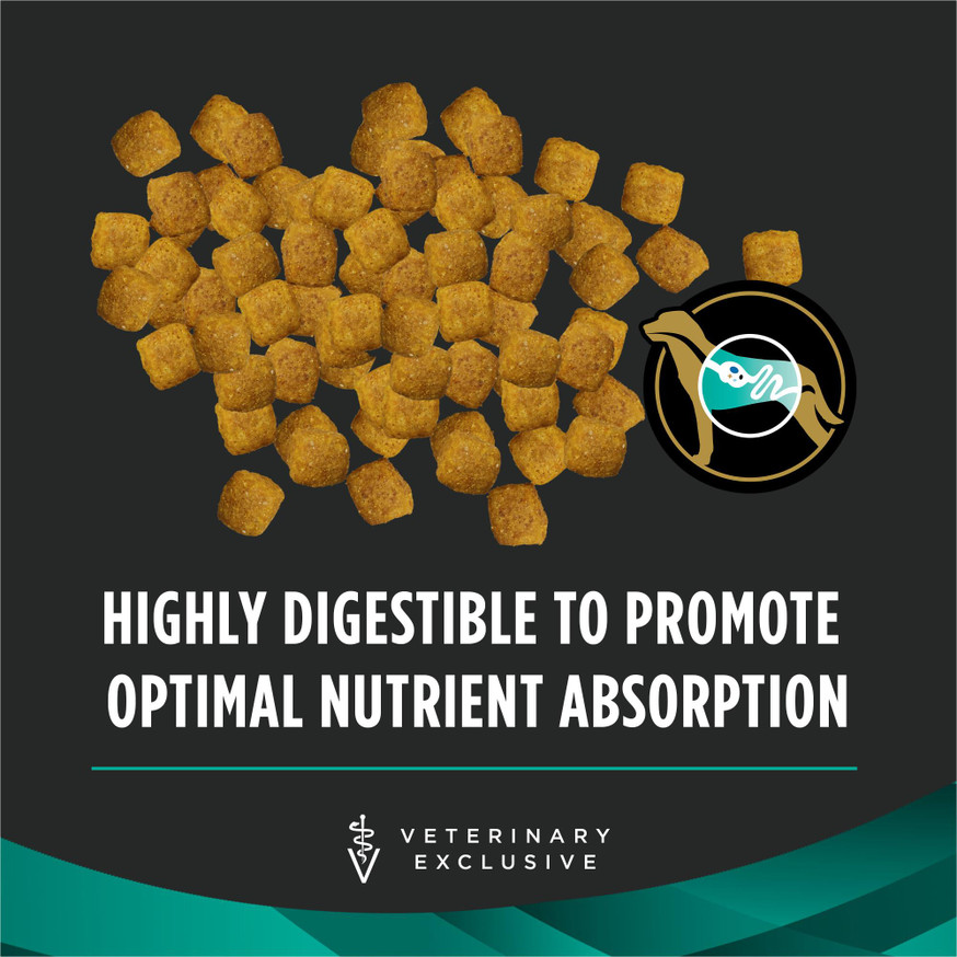 Veterinary Diets® EN Gastroenteric®, Dry Dog Food Formula