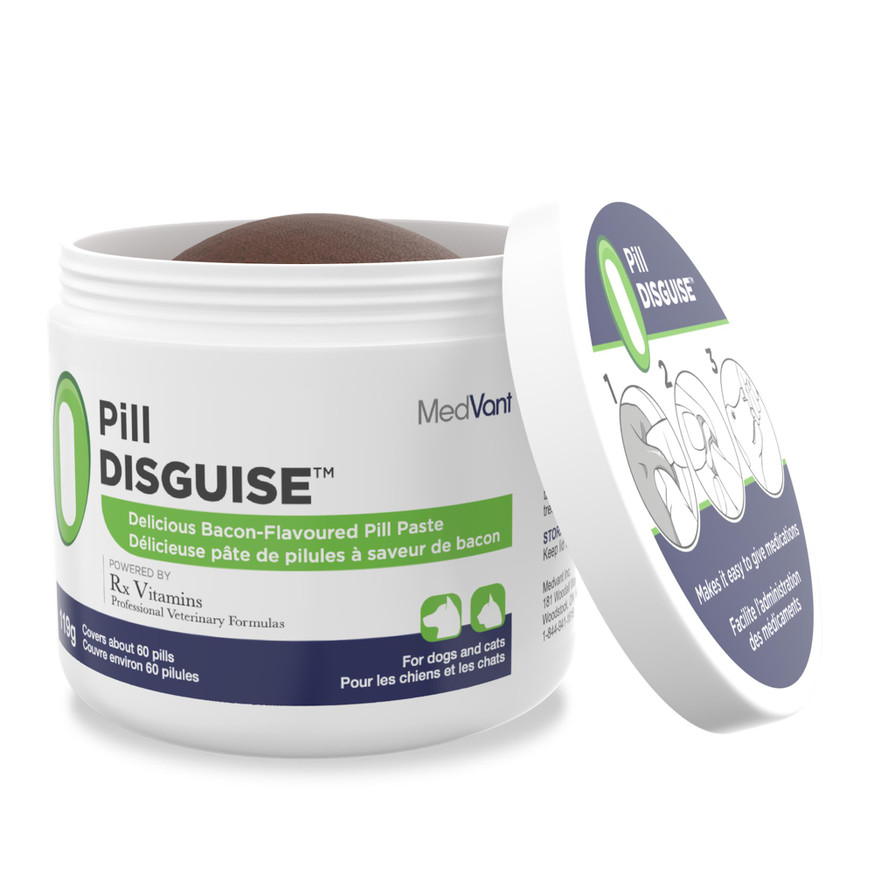 Pill Disguise Paste