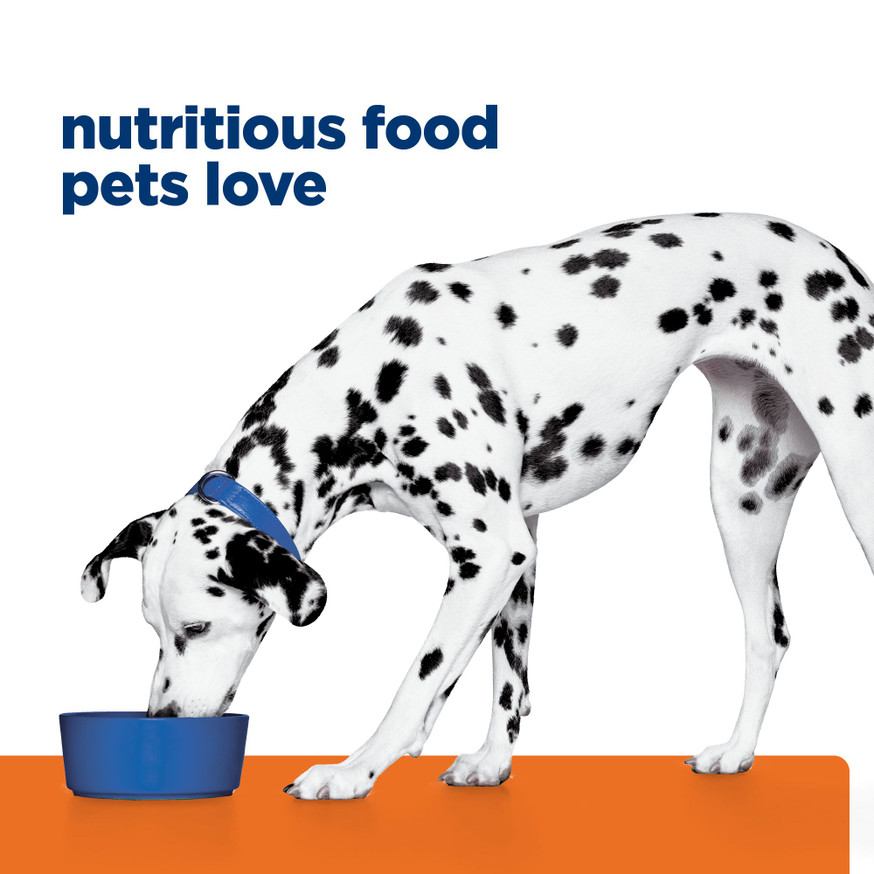 Prescription Diet u/d Urinary Care Dry Dog Food