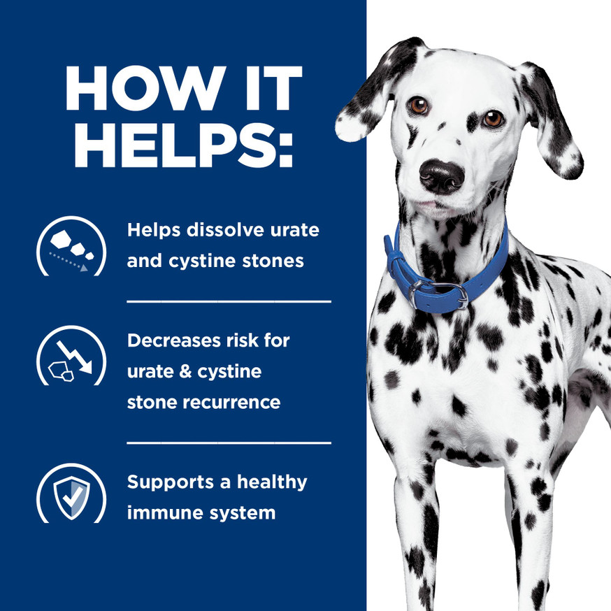 Prescription Diet u/d Urinary Care Dry Dog Food
