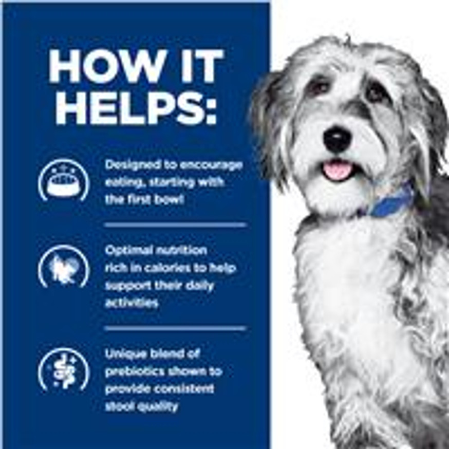 Prescription Diet ONC Care with Chicken Dry Dog Food