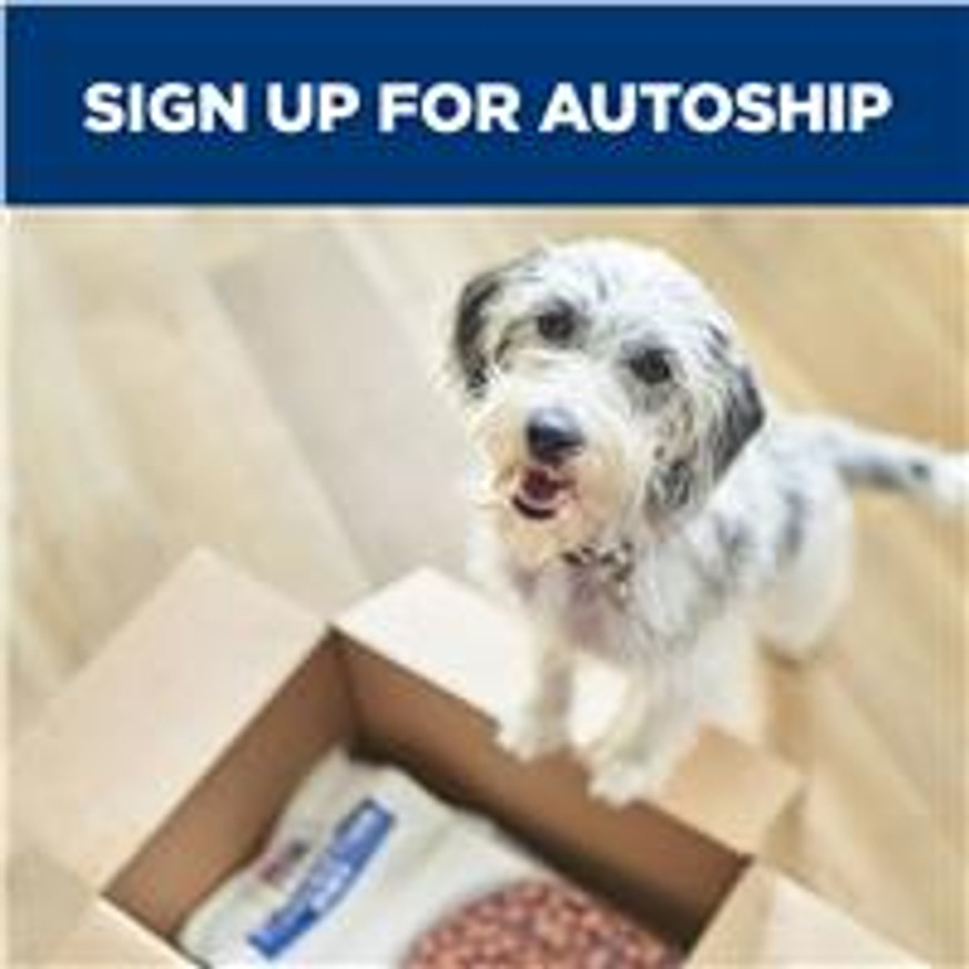 Prescription Diet ONC Care Chicken & Vegetable Stew Dog Food