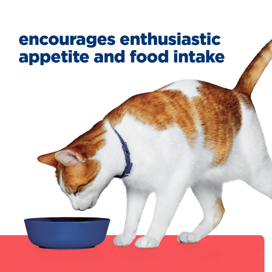 Prescription Diet ONC Care Chicken & Vegetable Stew Cat Food