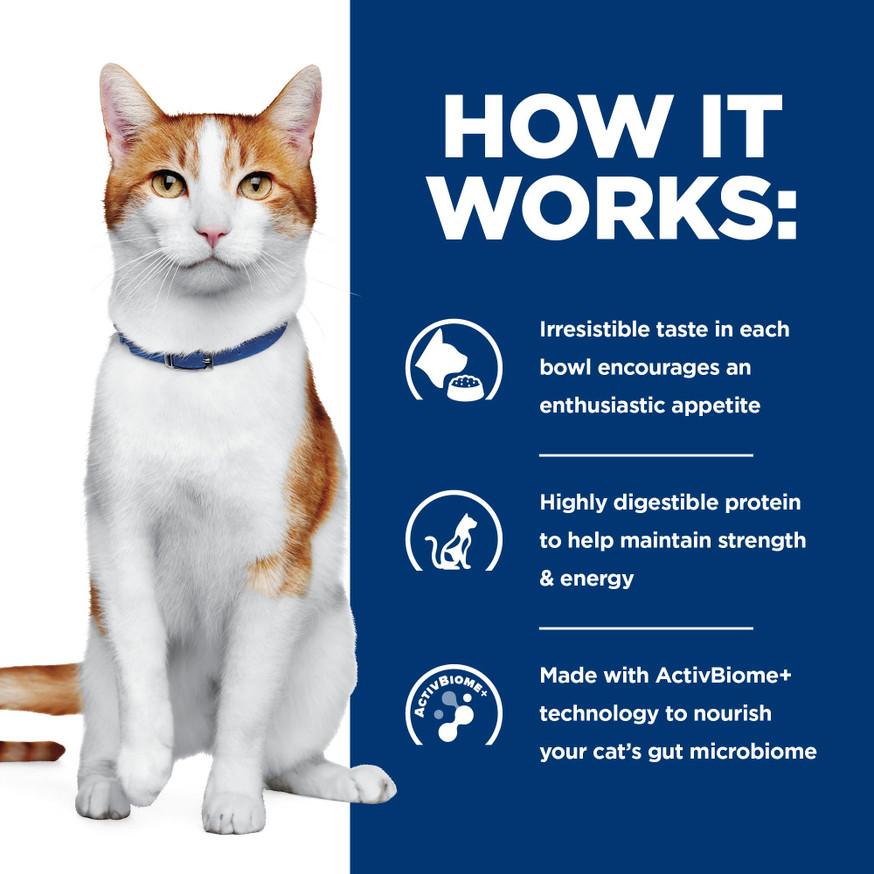 Prescription Diet ONC Care Chicken & Vegetable Stew Cat Food