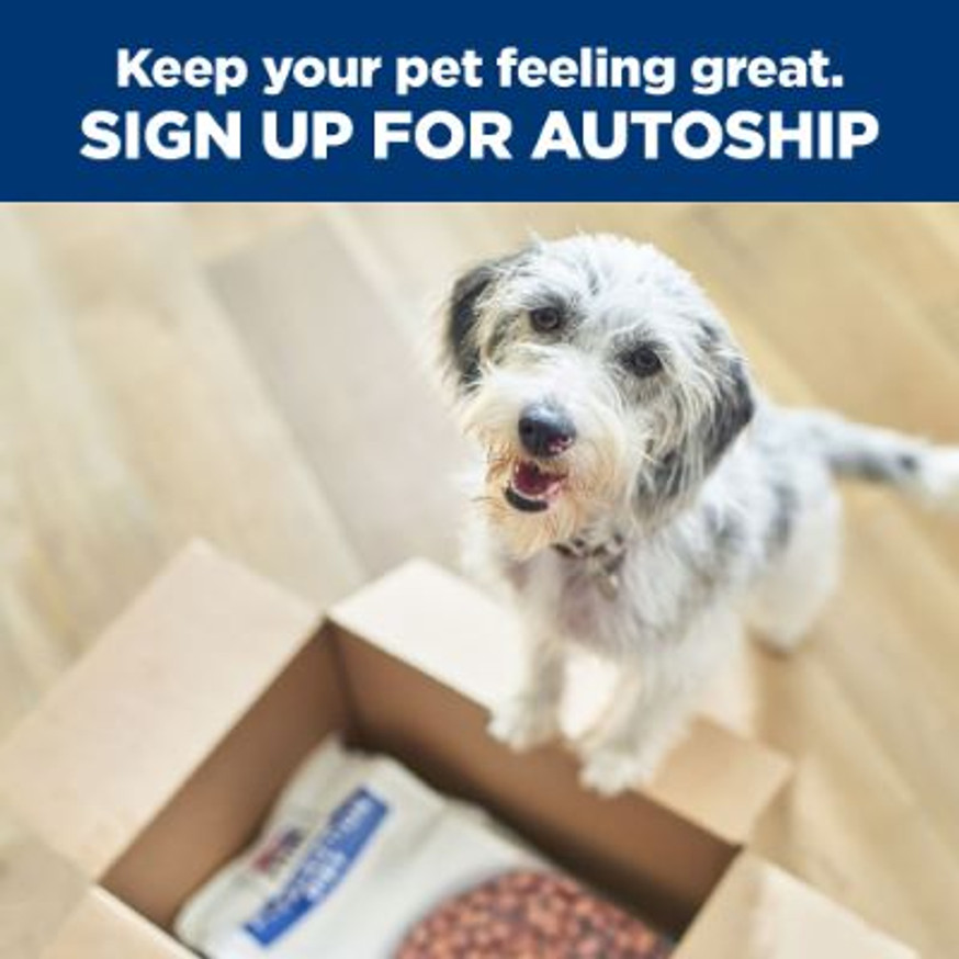 Prescription Diet k/d Kidney Care with Lamb Canned Dog Food