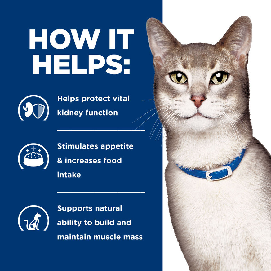 Prescription Diet k/d Kidney Care Ocean Fish Dry Cat Food
