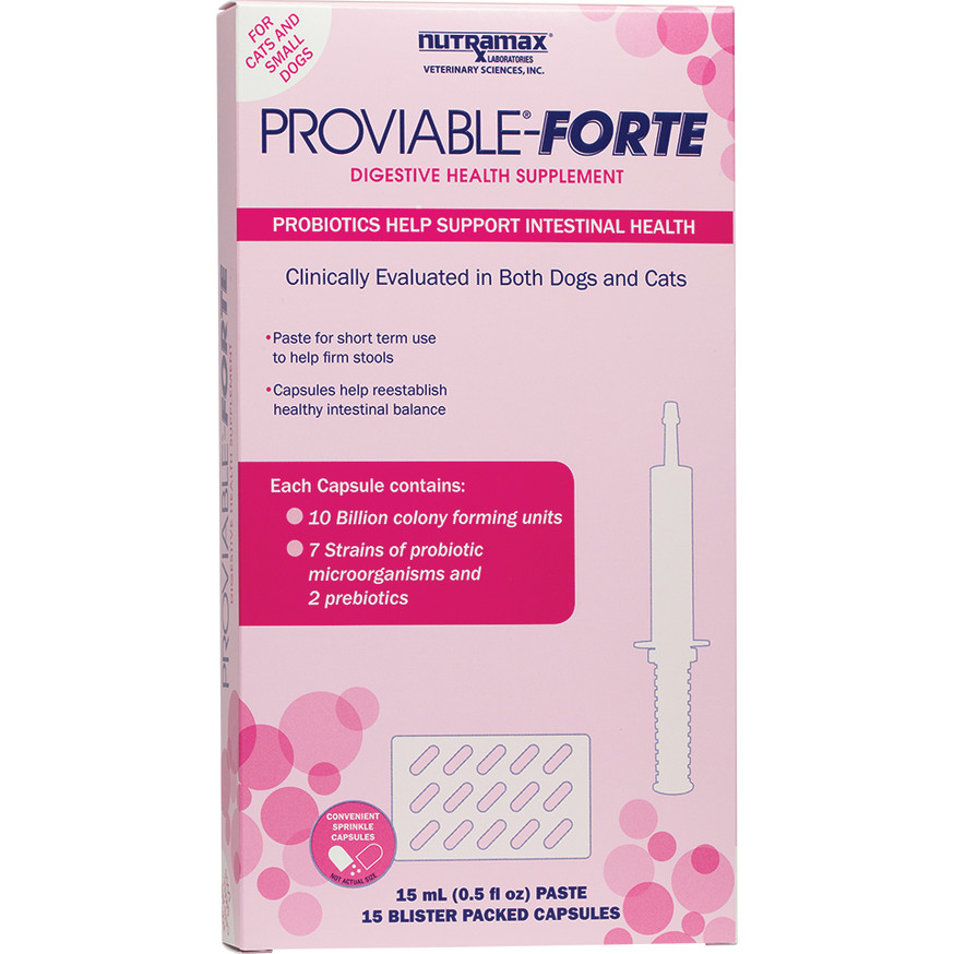Proviable Forte kit for cats and small dogs