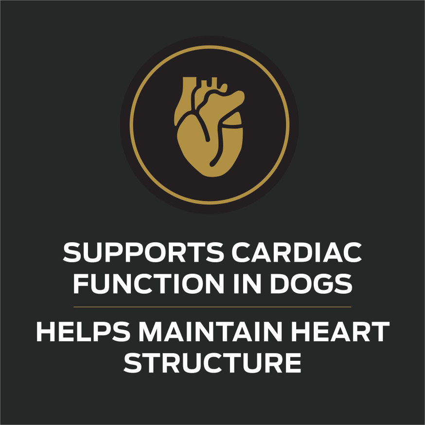 Veterinary Diets® CC CardioCare®, Wet Dog Food Formula