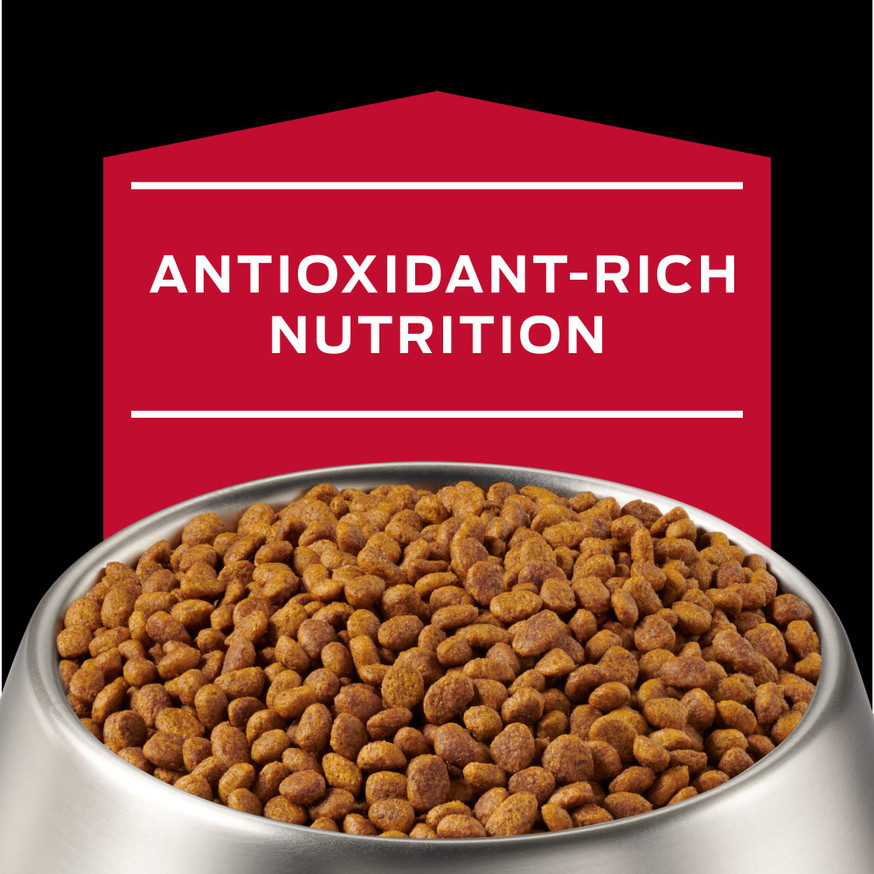 Veterinary Diets® CC CardioCare®, Wet Dog Food Formula