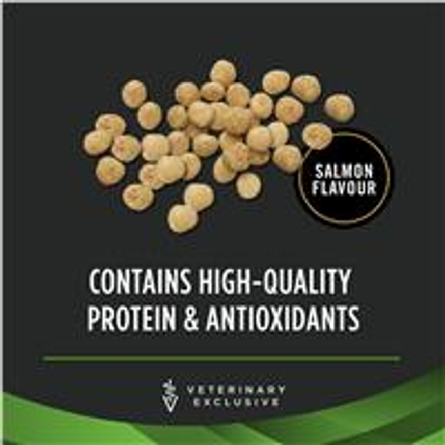 Veterinary Diets® HA Hydrolyzed® Salmon Flavour, Dog Food Formula